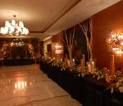 wedding planner in delhi ncr